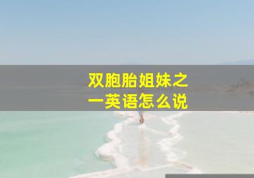 双胞胎姐妹之一英语怎么说