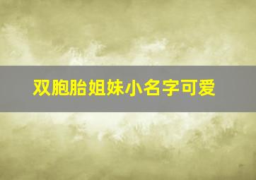 双胞胎姐妹小名字可爱