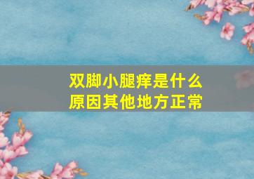 双脚小腿痒是什么原因其他地方正常