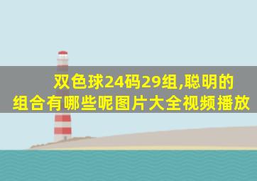 双色球24码29组,聪明的组合有哪些呢图片大全视频播放