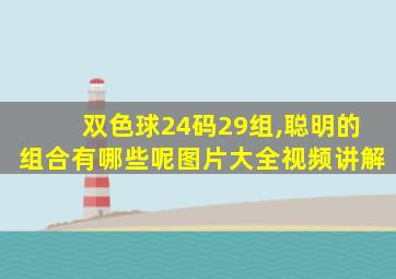 双色球24码29组,聪明的组合有哪些呢图片大全视频讲解