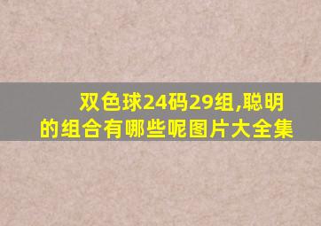 双色球24码29组,聪明的组合有哪些呢图片大全集