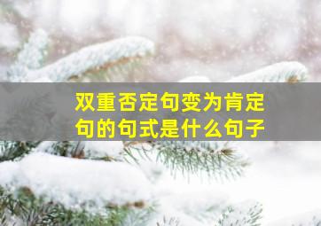 双重否定句变为肯定句的句式是什么句子