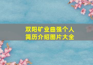 双阳矿业曲强个人简历介绍图片大全