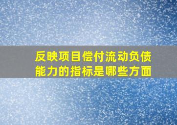 反映项目偿付流动负债能力的指标是哪些方面