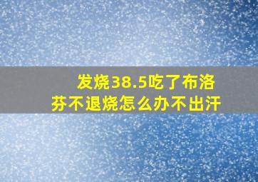 发烧38.5吃了布洛芬不退烧怎么办不出汗