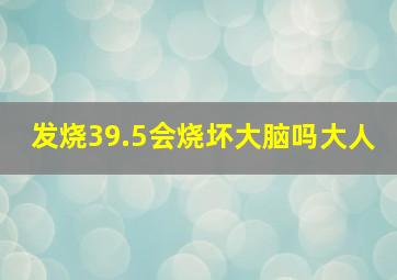 发烧39.5会烧坏大脑吗大人