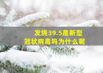 发烧39.5是新型冠状病毒吗为什么呢