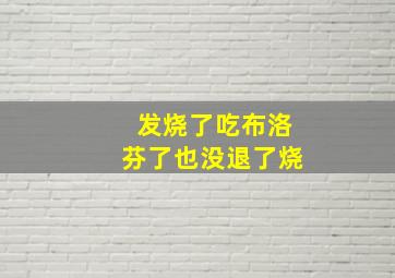 发烧了吃布洛芬了也没退了烧