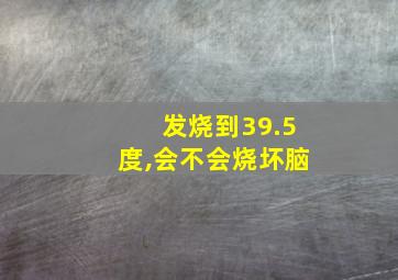 发烧到39.5度,会不会烧坏脑