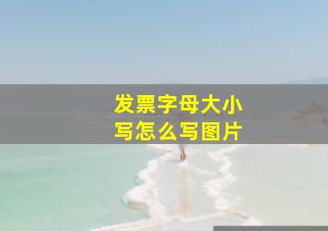 发票字母大小写怎么写图片