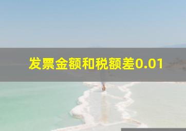 发票金额和税额差0.01