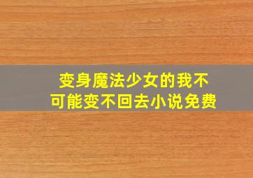 变身魔法少女的我不可能变不回去小说免费