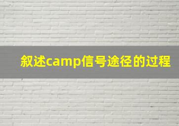 叙述camp信号途径的过程