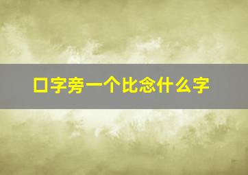 口字旁一个比念什么字