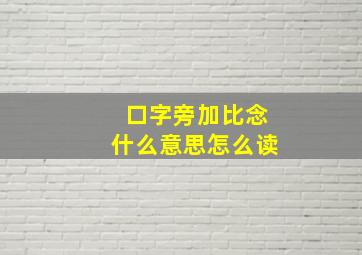 口字旁加比念什么意思怎么读