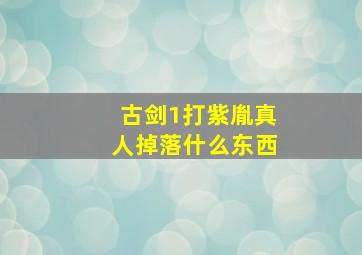 古剑1打紫胤真人掉落什么东西