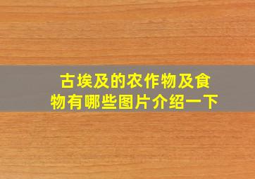 古埃及的农作物及食物有哪些图片介绍一下