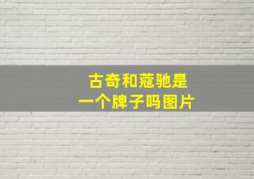 古奇和蔻驰是一个牌子吗图片