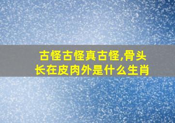 古怪古怪真古怪,骨头长在皮肉外是什么生肖