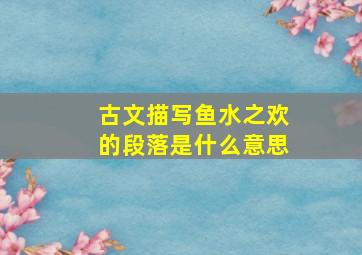 古文描写鱼水之欢的段落是什么意思