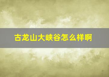 古龙山大峡谷怎么样啊