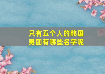 只有五个人的韩国男团有哪些名字呢