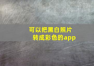 可以把黑白照片转成彩色的app