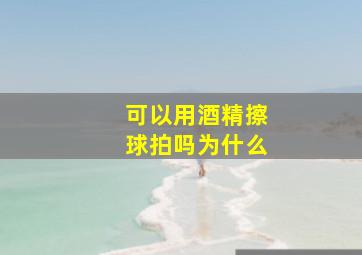 可以用酒精擦球拍吗为什么