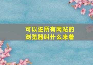 可以进所有网站的浏览器叫什么来着