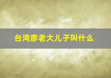 台湾廖老大儿子叫什么