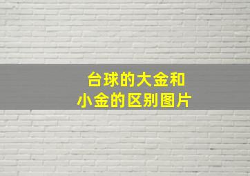 台球的大金和小金的区别图片