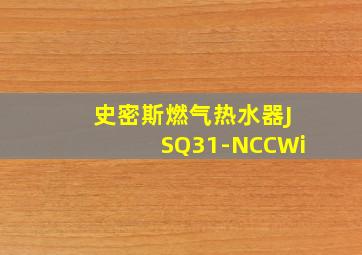 史密斯燃气热水器JSQ31-NCCWi