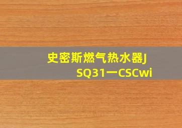 史密斯燃气热水器JSQ31一CSCwi