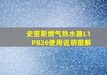 史密斯燃气热水器L1PB26使用说明图解