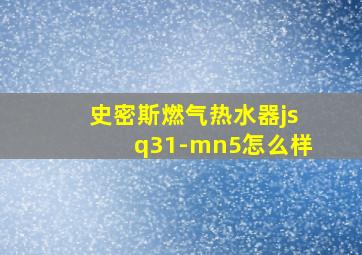 史密斯燃气热水器jsq31-mn5怎么样