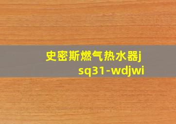 史密斯燃气热水器jsq31-wdjwi