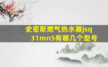 史密斯燃气热水器jsq31mn5有哪几个型号