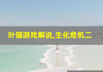 叶猫游戏解说,生化危机二