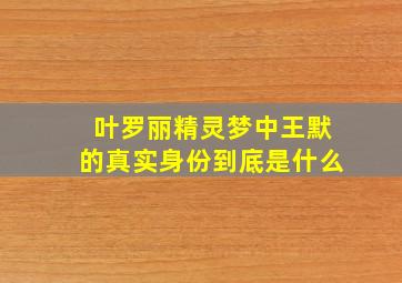 叶罗丽精灵梦中王默的真实身份到底是什么