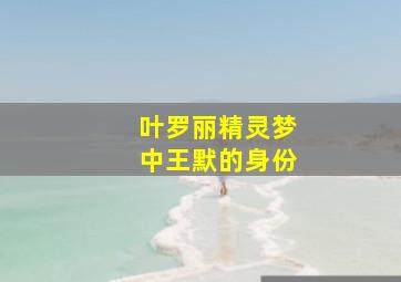 叶罗丽精灵梦中王默的身份