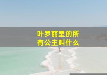 叶罗丽里的所有公主叫什么