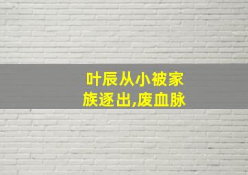 叶辰从小被家族逐出,废血脉