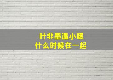 叶非墨温小暖什么时候在一起