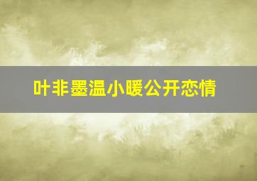 叶非墨温小暖公开恋情