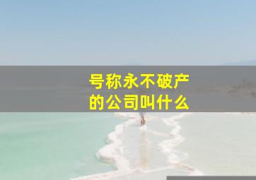 号称永不破产的公司叫什么