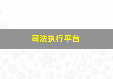 司法执行平台