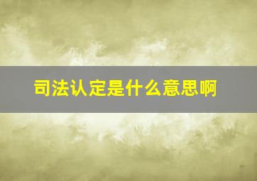 司法认定是什么意思啊