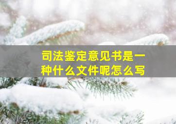 司法鉴定意见书是一种什么文件呢怎么写