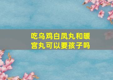 吃乌鸡白凤丸和暖宫丸可以要孩子吗